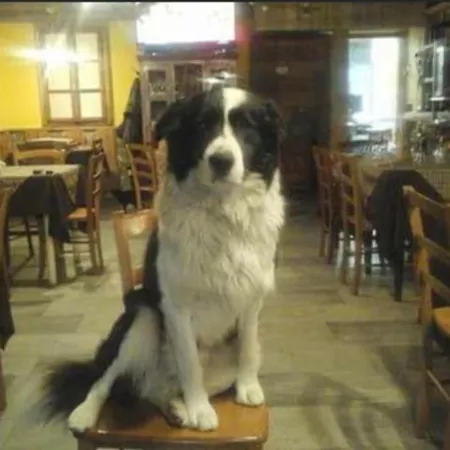 La Polveriera Couette-café Chiesa in Valmalenco